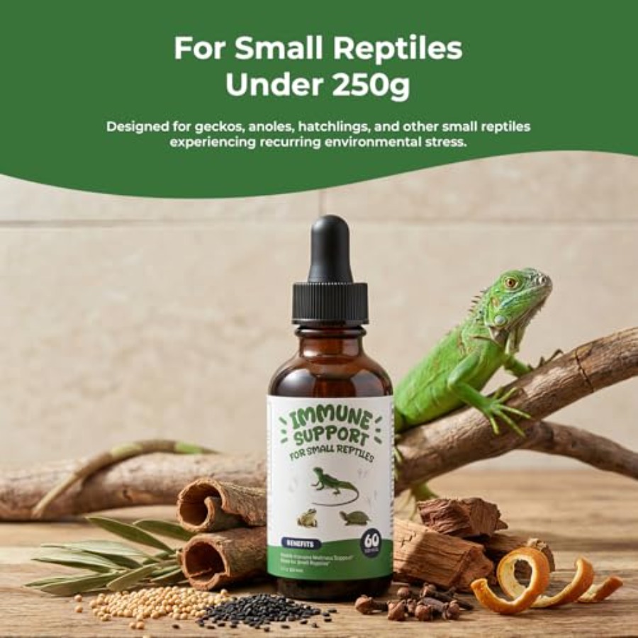 【Spot goods】Herbal Reptile Sup - Herbal Wellness Liquid avaliação e preço