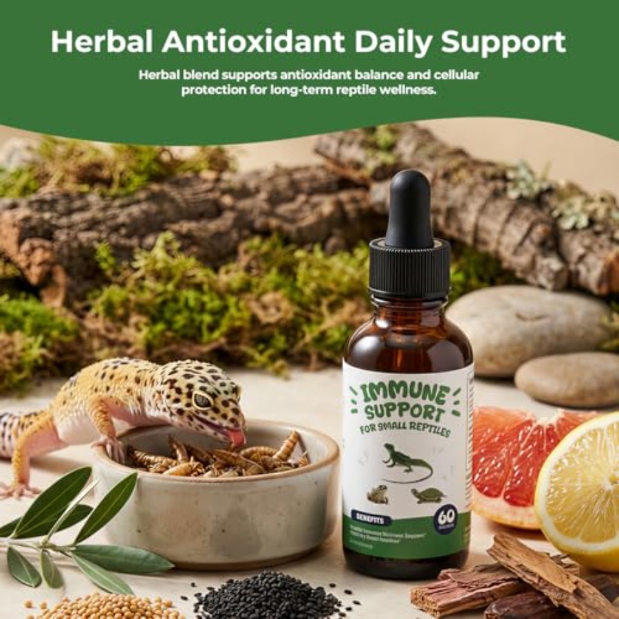 【Spot goods】Herbal Reptile Sup - Herbal Wellness Liquid avaliação e preço