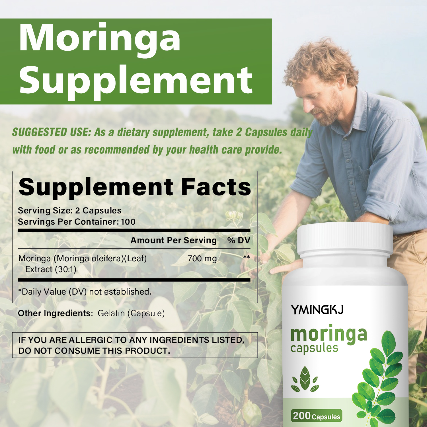 Organic Moringa Oleifera Leaf  - Moringa Leaf Powder avaliação e preço