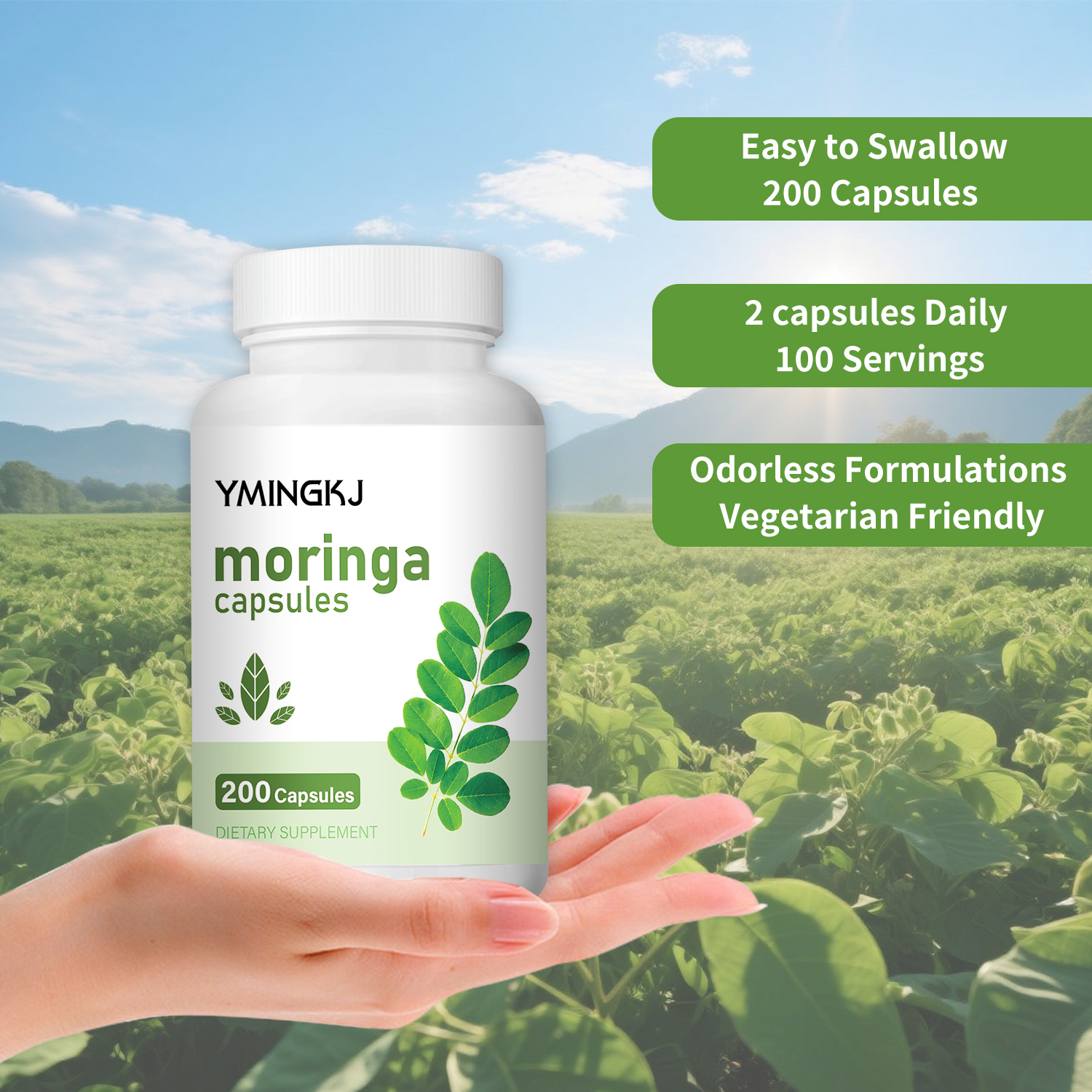 Organic Moringa Oleifera Leaf  - Moringa Leaf Powder avaliação e preço