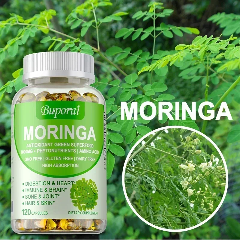 Moringa Capsules - Support Imm - Moringa Leaf Powder avaliação e preço