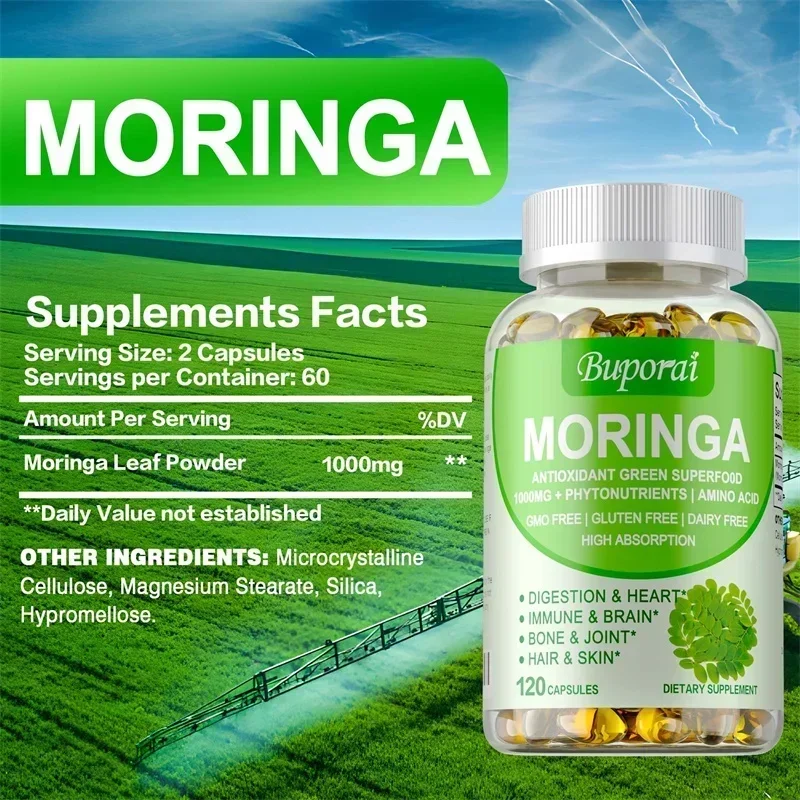 Moringa Capsules - Support Imm - Moringa Leaf Powder avaliação e preço