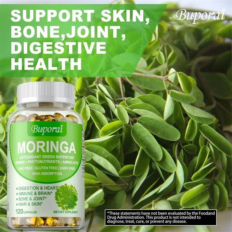 Moringa Capsules - Support Imm - Moringa Leaf Powder avaliação e preço